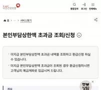 국민건강보험 본인부담상한액 초과금 조회신청 민원 안내 화면