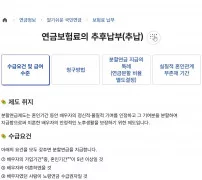 국민연금 분할연금 수급요건과 급여수준 안내 화면