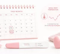 임신 극초기 증상, 생리 지연·기초체온·임테기 신호 일러스트