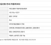 자동차등록증 재발급 자동차365 인터넷 무료 안내