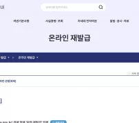 외교부 여권안내 홈페이지의 온라인 재발급 안내 화면
