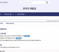 passport.go.kr 온라인 재발급 정부24·KB스타뱅킹 신청 안내