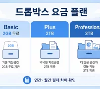 드롭박스 가격 Basic Plus Professional 2TB 3TB 요금 플랜 비교