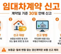 계약일 기준 임대차계약 신고