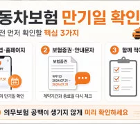 자동차보험 만기일 확인